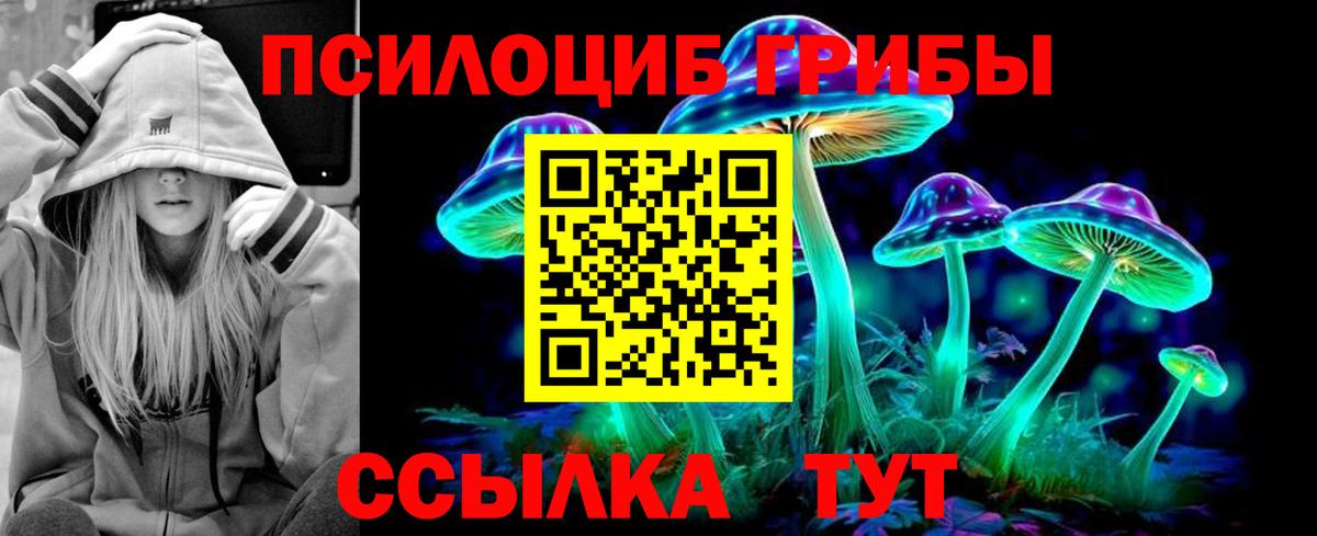 Псилоцибиновые грибы MAGIC MUSHROOMS  Вход с VPN  Минеральные Воды  Псилоцибиновые грибы мицелий 