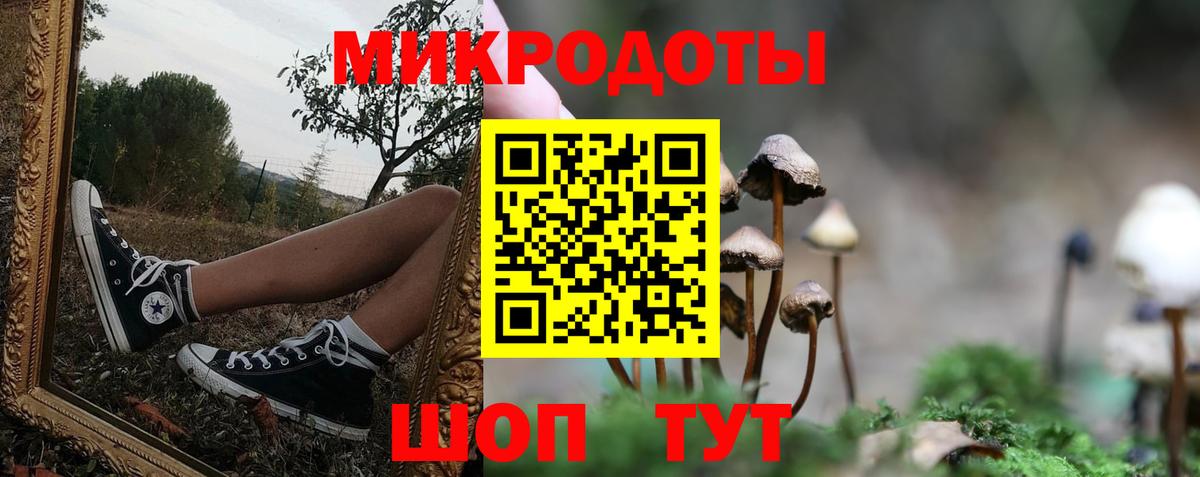 Галлюциногенные грибы GOLDEN TEACHER Минеральные Воды